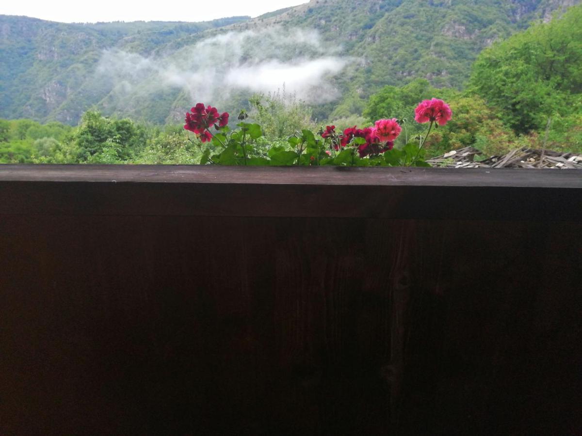 Къща За Гости Кануш Войвода Kovačevica Exterior foto