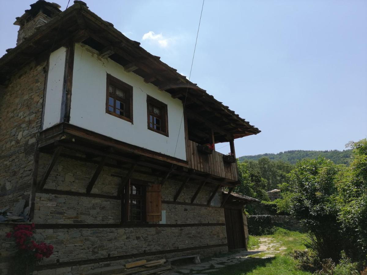 Къща За Гости Кануш Войвода Kovačevica Exterior foto