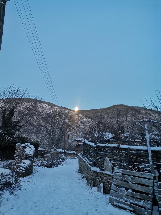 Къща За Гости Кануш Войвода Kovačevica Exterior foto
