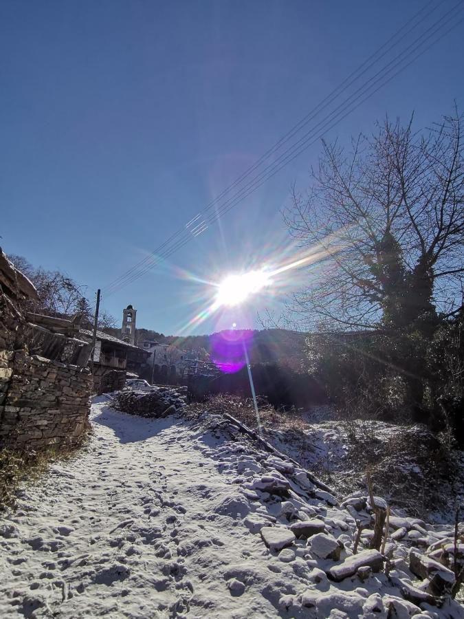 Къща За Гости Кануш Войвода Kovačevica Exterior foto